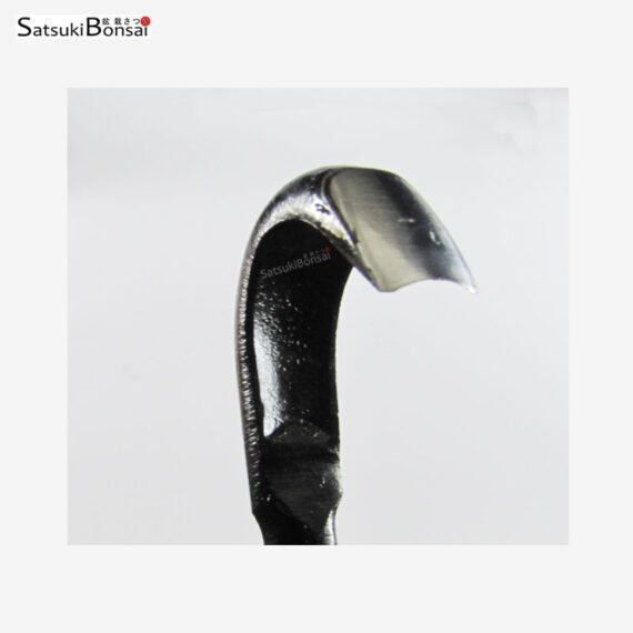 Sgorbia stretta - immagine 2