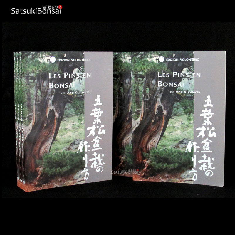 AT-60 Les pins en Bonsai Abe Kurakichi SOLD OUT - immagine 1