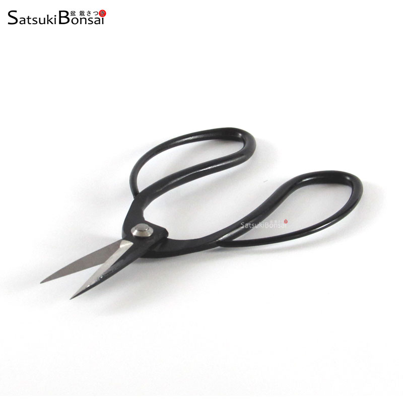 AT-80 Forbice radici acciaio inox brunito 195 mm - immagine 1