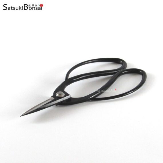 Forbice radici acciaio inox brunito 195 mm - immagine 2