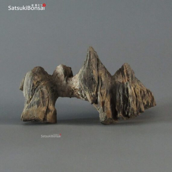 Suiseki palombino - immagine 3