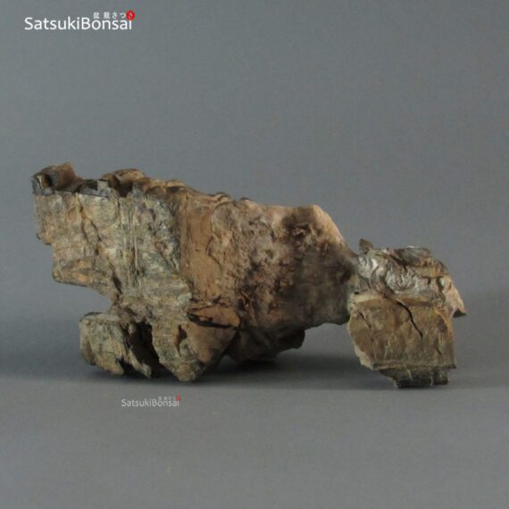 Suiseki palombino - immagine 5