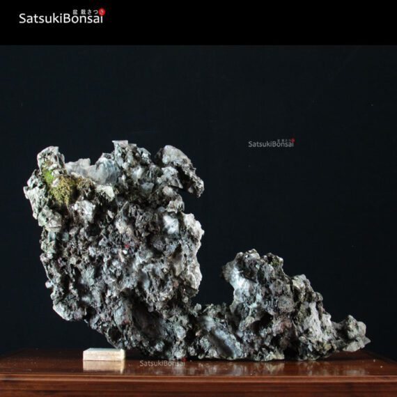 Roccia Ibigawa (Japan)  57-32-20 cm VENDUTO - immagine 2
