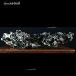 Roccia Ibigawa (Japan)  57-32-20 cm VENDUTO - immagine 4