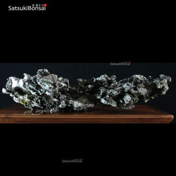 Roccia Ibigawa (Japan)  57-32-20 cm VENDUTO - immagine 4