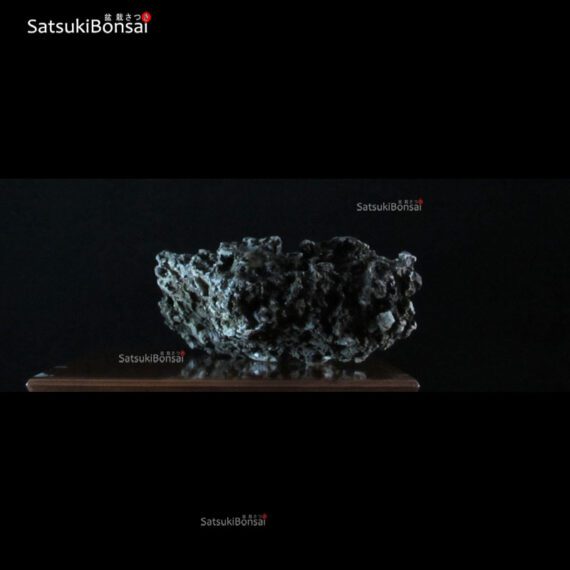 Roccia Ibigawa (Japan) 74-30-15 cm VENDUTO - immagine 2
