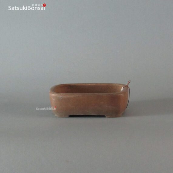 T2036 13-10.3-4 cm Wabachi - immagine 2