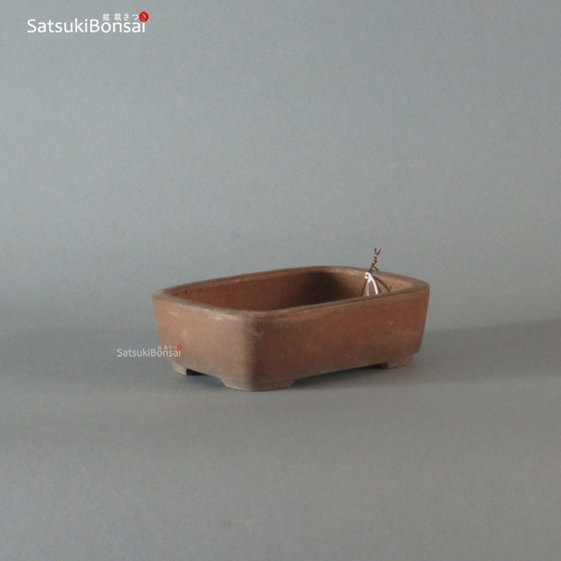 T2036_2 T2036 13-10.3-4 cm Wabachi - immagine 1