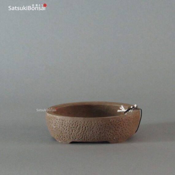 T2037 10-8.8-3 cm Wabachi - immagine 2