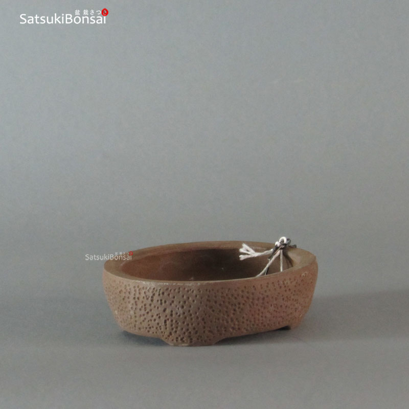 T2037_2 T2037 10-8.8-3 cm Wabachi - immagine 1