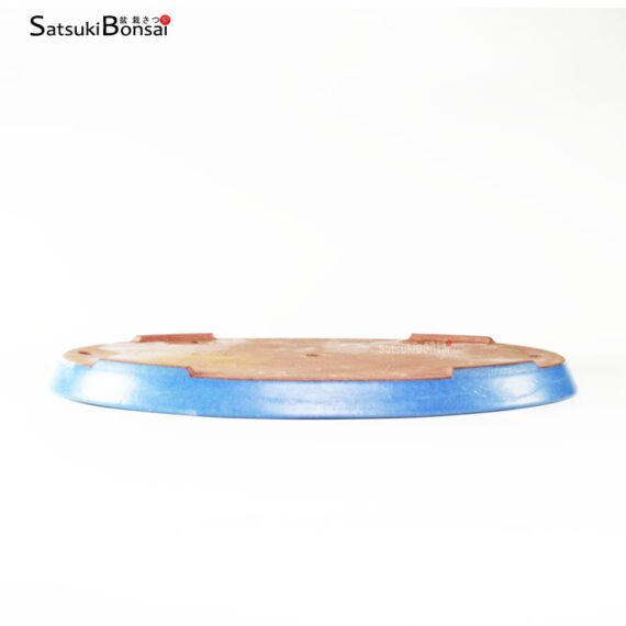 T2115 48.0 x 31.0 x 3.5 cm Reiho - immagine 3