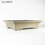 T2202 48.5 x 35.5 x 11.0 - Suishouen Hekisui - immagine 2