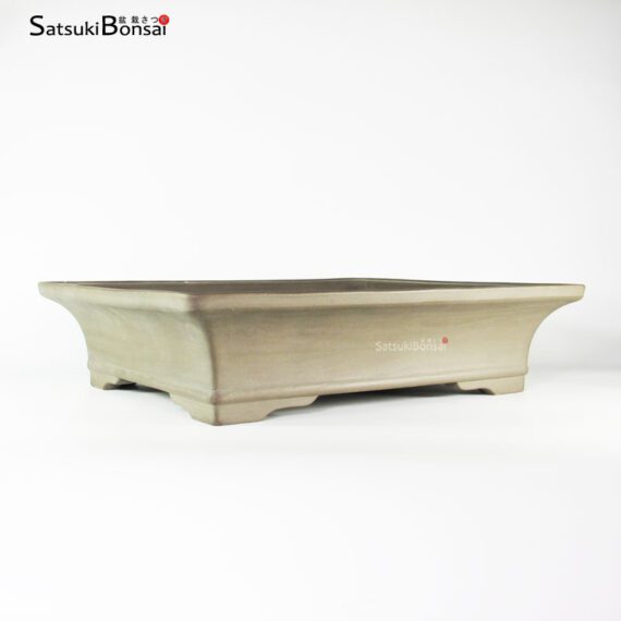 T2202 48.5 x 35.5 x 11.0 - Suishouen Hekisui - immagine 2