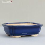 VY-213 16x12x5 cm