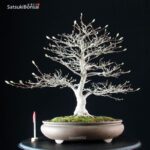 Magnolia Kobus VENDUTO - immagine 6
