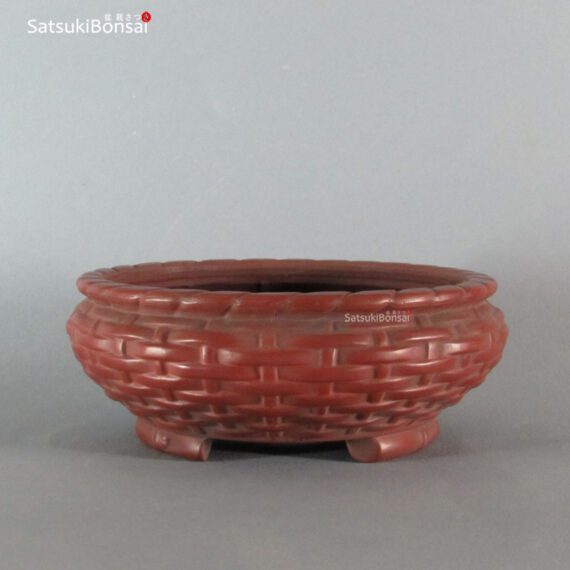 T2244 15.5 x 6.0 - Bigei - immagine 2