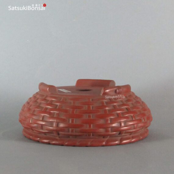 T2244 15.5 x 6.0 - Bigei - immagine 3