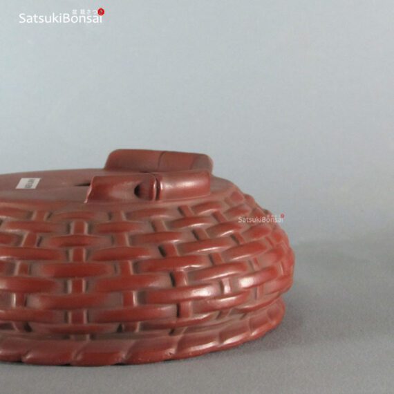 T2244 15.5 x 6.0 - Bigei - immagine 4