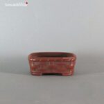 T2245 10.2 x 8.3 x 3.8 - Bigei - immagine 2
