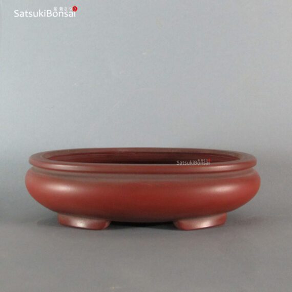 T2246 19.0 x 15.3 x 5.3 - Bigei VENDUTO - immagine 2