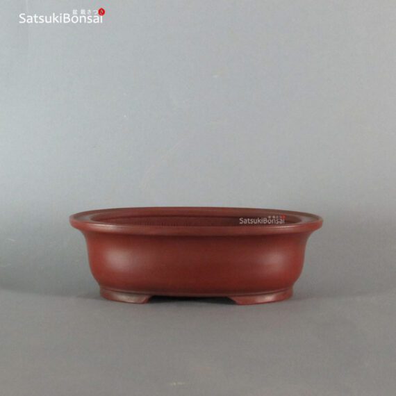 T2247 15.8 x 12.3 x 4.9 - Bigei - immagine 2