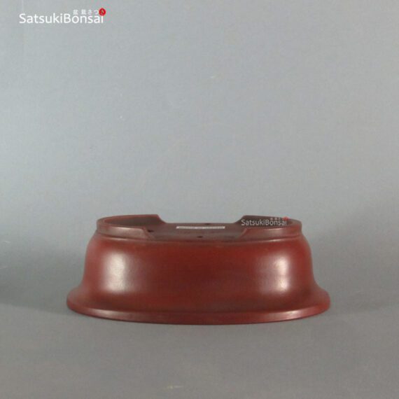 T2247 15.8 x 12.3 x 4.9 - Bigei - immagine 3