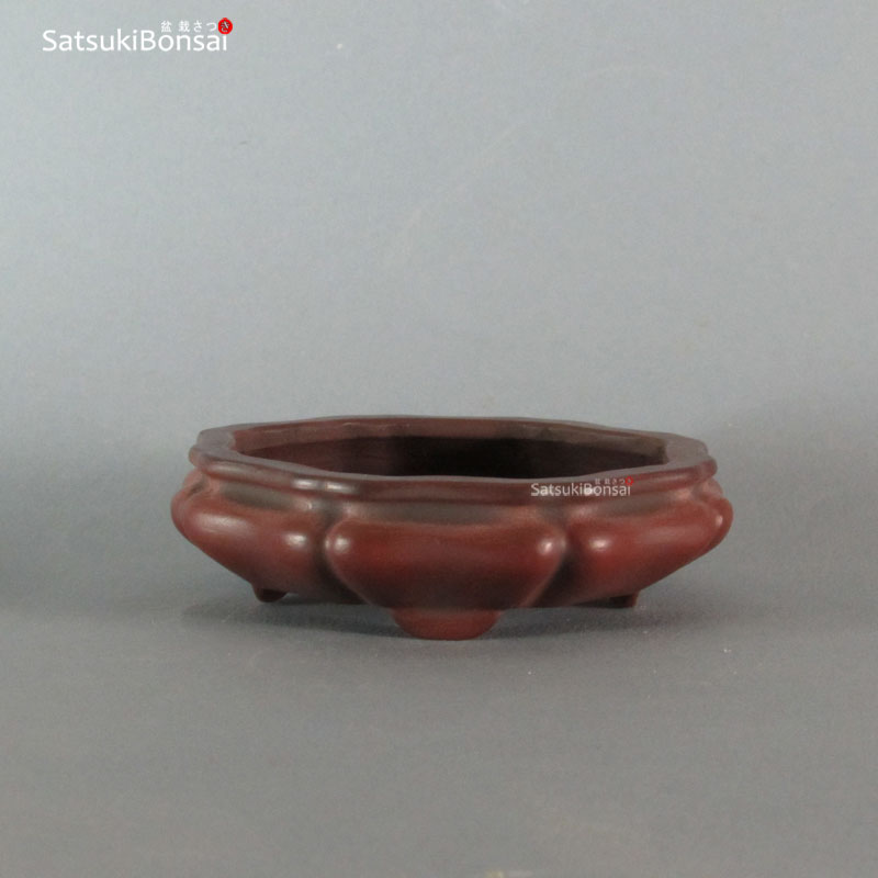T2248_1-BIGEI T2248 11.3 x 11.0 x 3.3 - Bigei - immagine 1