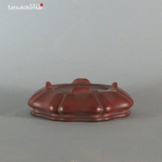 T2248 11.3 x 11.0 x 3.3 - Bigei - immagine 2