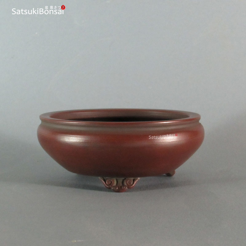 T2252_1-BIGEI T2252 12.3 x 5.0 - Bigei - immagine 1