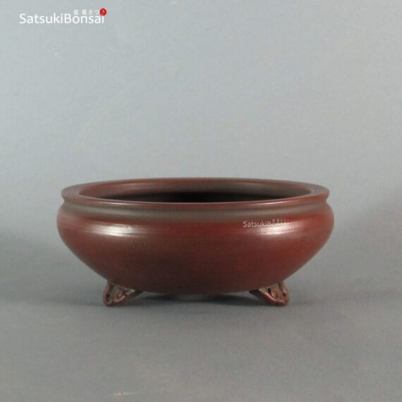 T2252 12.3 x 5.0 - Bigei - immagine 2