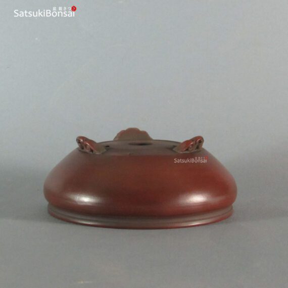 T2252 12.3 x 5.0 - Bigei - immagine 3