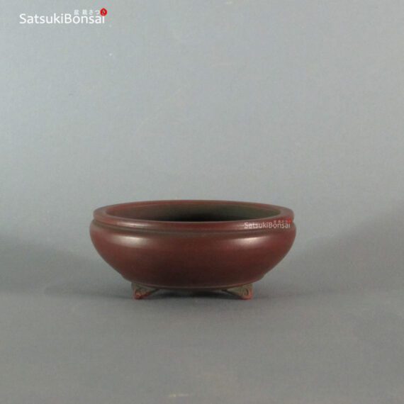 T2253 9.5 x 3.9 - Bigei - immagine 2