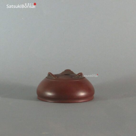 T2254 8.0 x 3.5 - Bigei - immagine 3