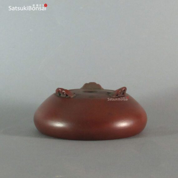 T2256 12.5 x 4.9 - Bigei - immagine 3