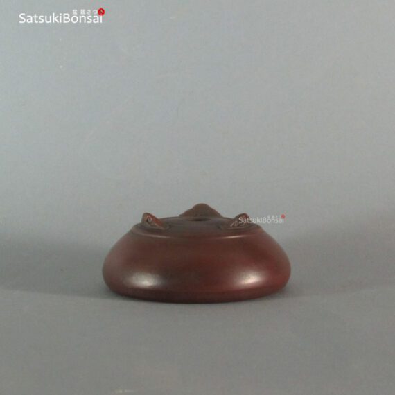 T2257 9.5 x 3.9 - Bigei - immagine 3
