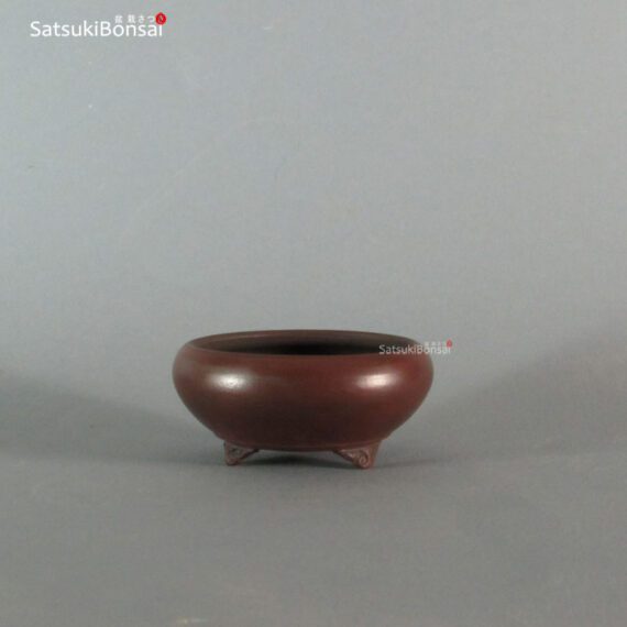 T2258 8.1 x 3.6 - Bigei - immagine 2