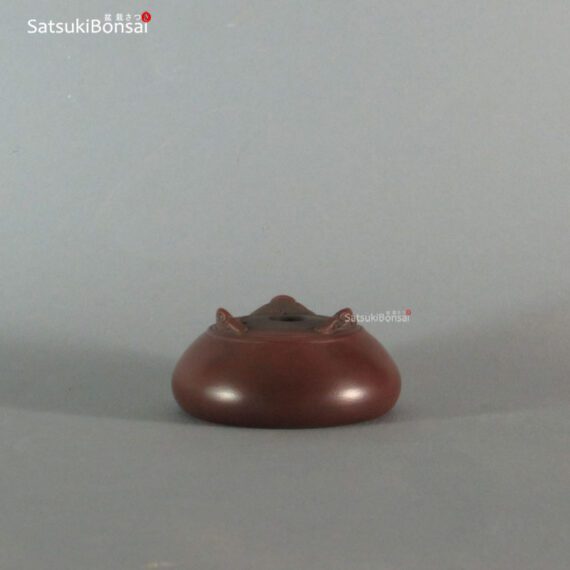 T2258 8.1 x 3.6 - Bigei - immagine 3