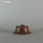 T2262 7.1 x 3.1 - Bigei - immagine 3