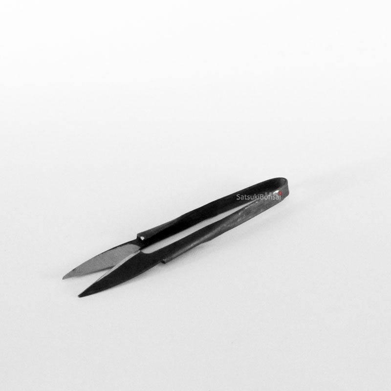 Trimmer Forbice per defogliazione - immagine 1