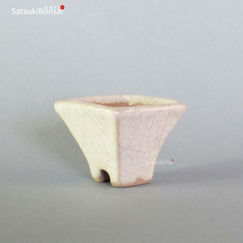 T2312_3-TESSAI T2312 4.7 x 4.6 x 3.6 - Tessai - immagine 1