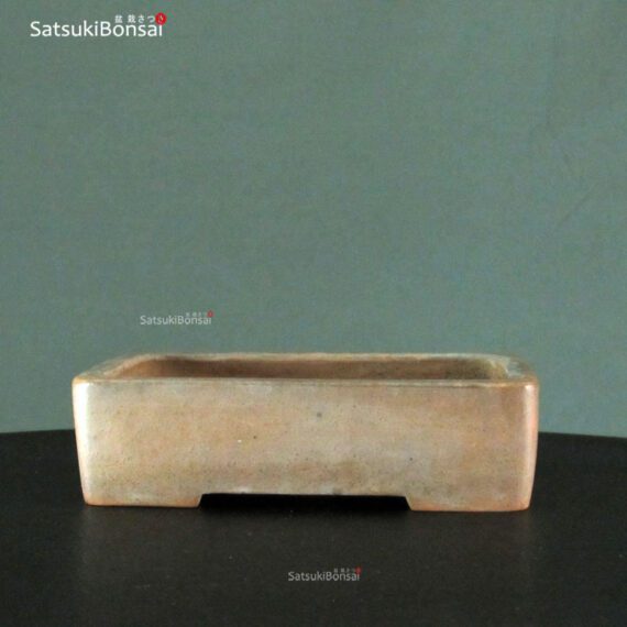T2359 19.0x14.5x5.0 - Wabachi - immagine 2