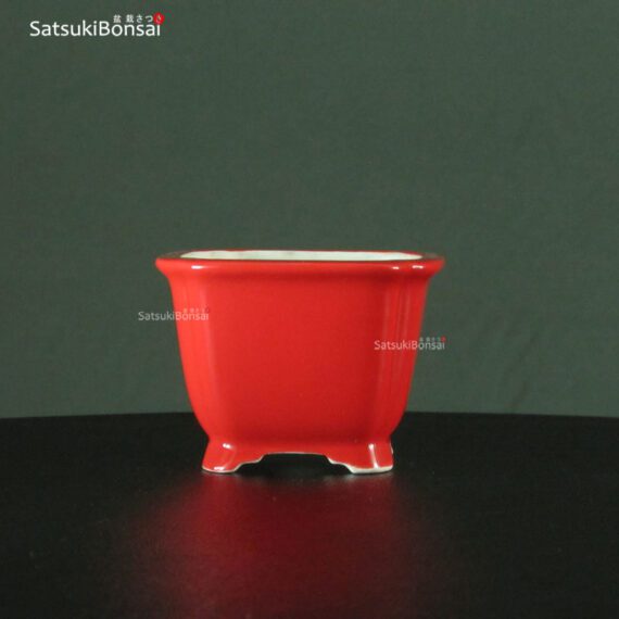 VY-289 11.4x11.4x6.5 cm - immagine 2
