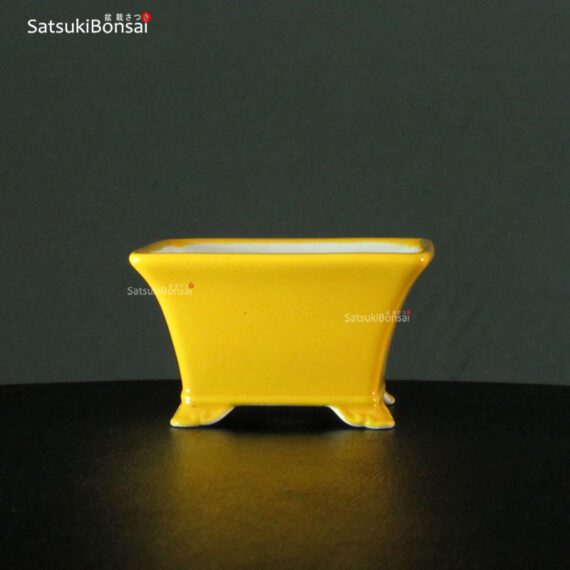 VY-290 9,9x9,9x7,0 cm - immagine 2