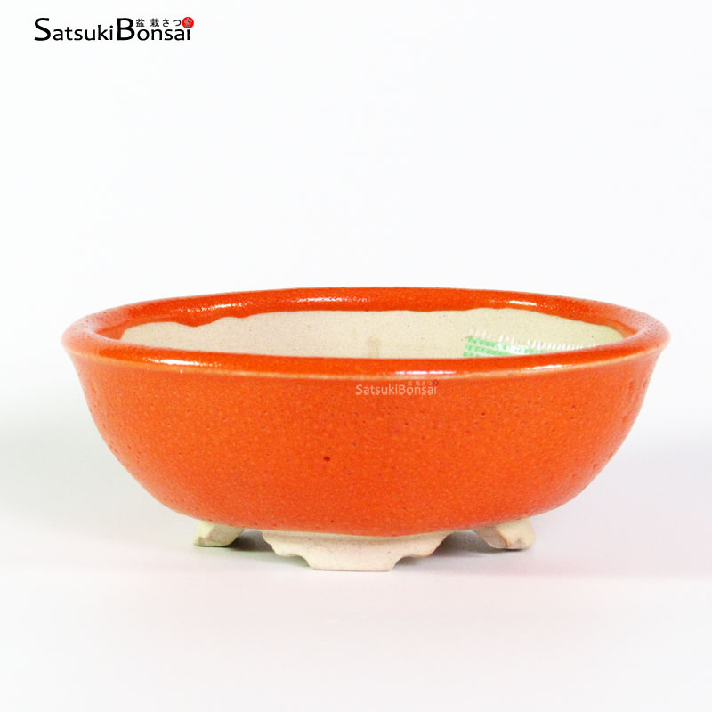 T2420_1-Youn T2420 12.5x4.5 - Juon - immagine 1