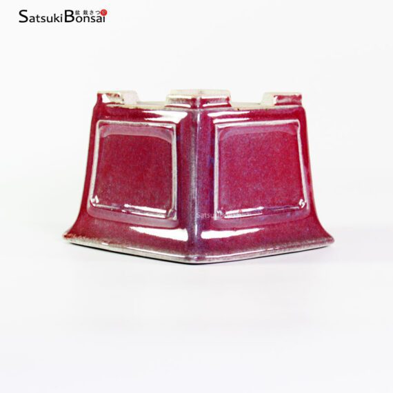 T2421 12.5x9.5 - Shibakatsu - immagine 3