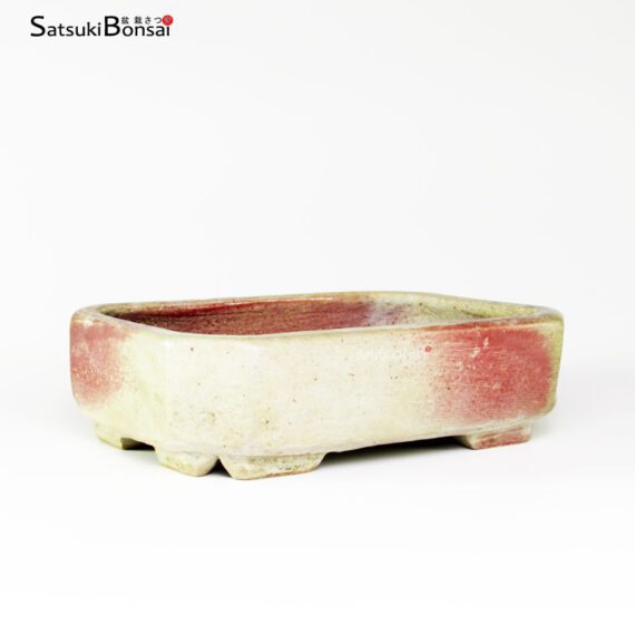 T2455 19.5x15.0x5.5 cm Japan - immagine 2