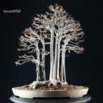 Acer Buergerianum - Kaede