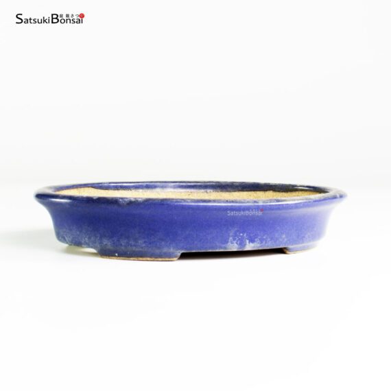 T25109 16.0x12.5x3.0 - Hattori - immagine 2