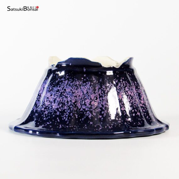 T25136 21.5 x 10.0 - Koyo - immagine 3