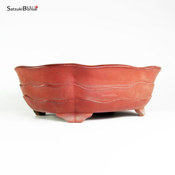 T25173 41.0x33.0x13.0 - Yamaaki Koshosen - immagine 2